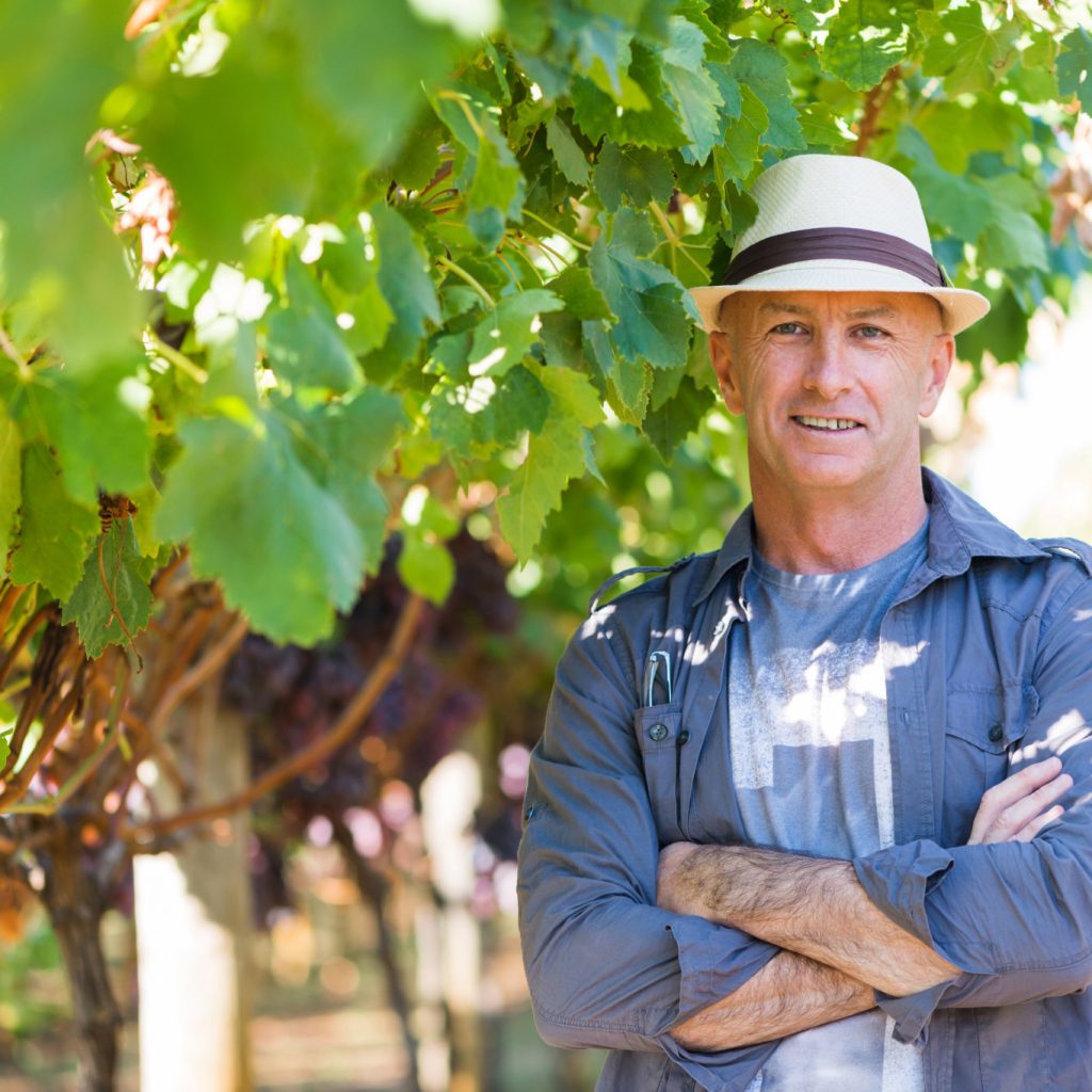 Man and grapevines