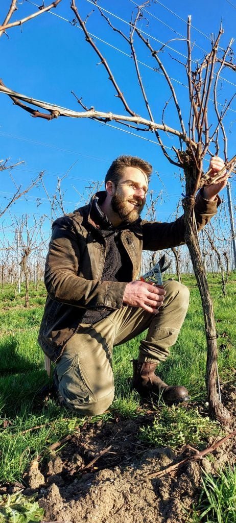 Suitable for All: Pruning Strategy and Practical Training (South East)