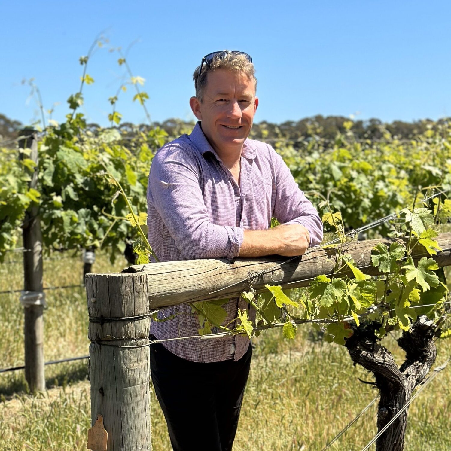 cameron roucher viticulturist